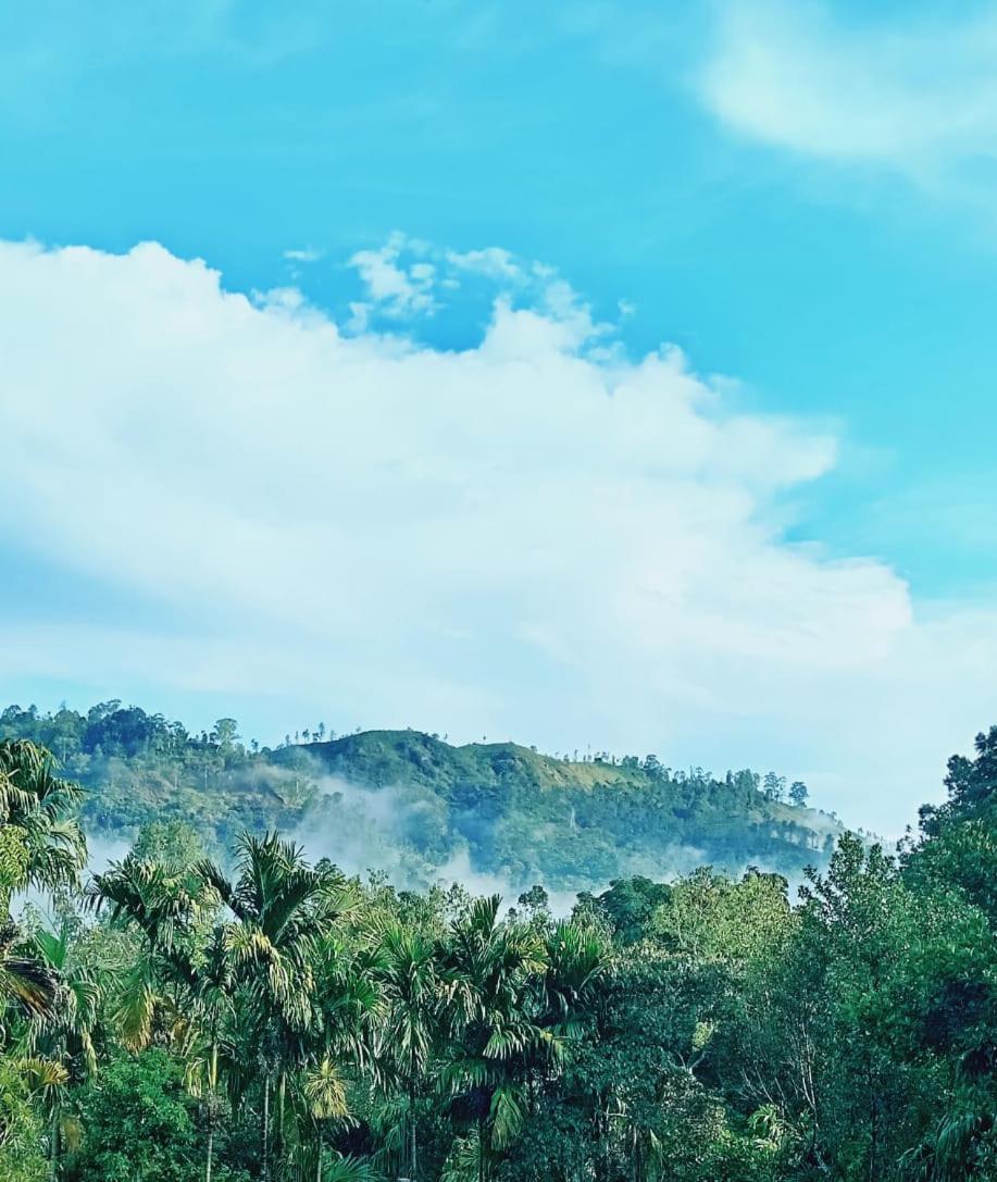 Mountain Shack Homestay เอลลา ภายนอก รูปภาพ