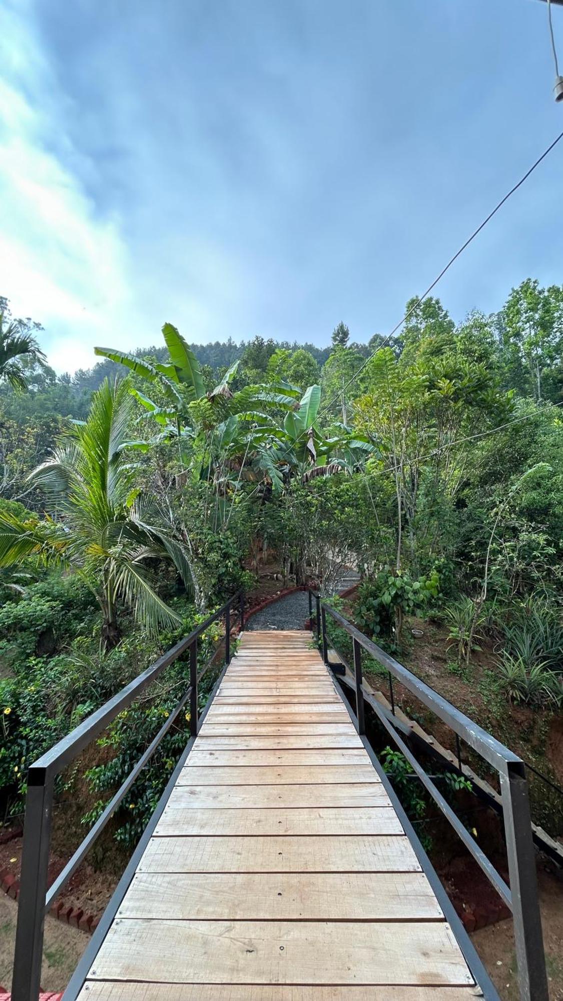 Mountain Shack Homestay เอลลา ภายนอก รูปภาพ